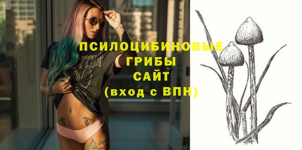 дурь Волоколамск