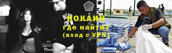 прущие грибы Верея
