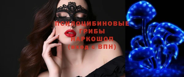 прущие грибы Верея