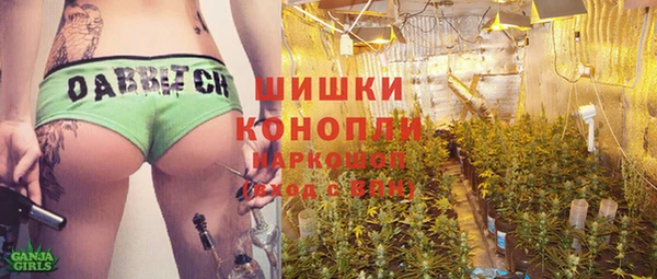 прущие грибы Верея