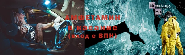 прущие грибы Верея