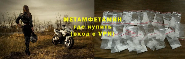 прущие грибы Верея