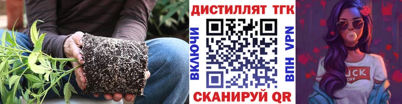 Дистиллят ТГК гашишное масло Окуловка