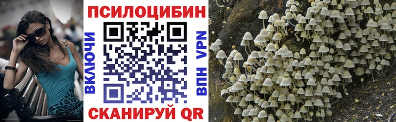 Псилоцибиновые грибы мухоморы  наркошоп  Окуловка 