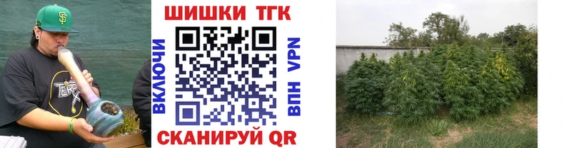 Канабис планчик  Окуловка 
